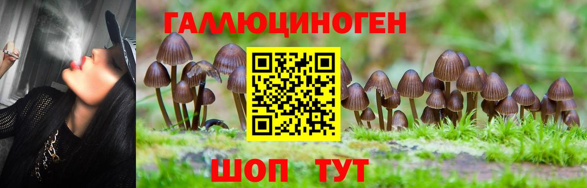 Псилоцибиновые грибы Psilocybine cubensis  Псилоцибиновые грибы мицелий  Вход с VPN  наркошоп  Горячий Ключ 